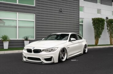 M Monday’s with the daily