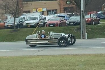 Saw this in the wild. Can anyone identify?
