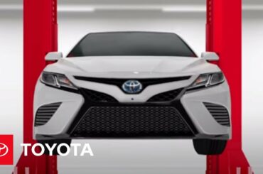 Toyota Hybrid Maintenance and Longevity