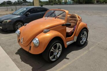 Mini Beetle