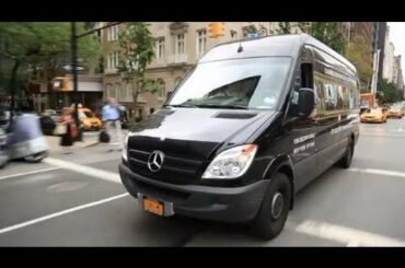 Sprinter Stories: Madame Paulette