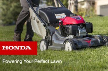Powering Your Perfect Lawn