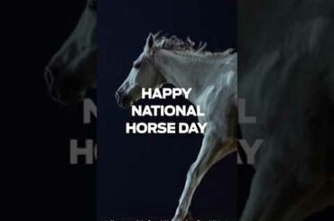 Celebrating National Horse Day | Ford #shorts