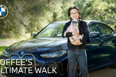 Toffee's Ultimate Walk ft. Jimmy O. Yang & the All-Electric BMW i4 | BMW USA