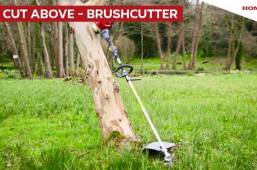 A Cut Above - Tom Hart Dyke and Honda Brushcutter