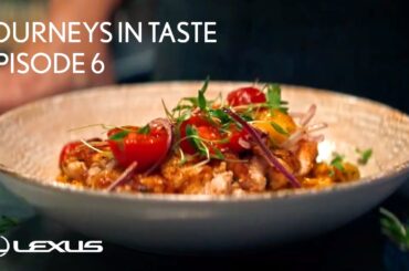 Journeys in Taste - Episode 6 I Edifying Taste: Michelle Bernstein, Head Chef, USA