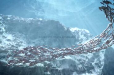 What if  a car could move like schools of fish?