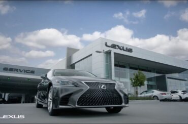 Lexus October Tire Event | Lexus