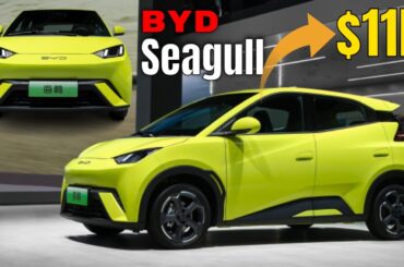 BYD Seagull Small Electric Car Starts at $11K