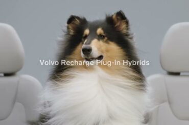 Volvo Recharge Plug-in Hybrids