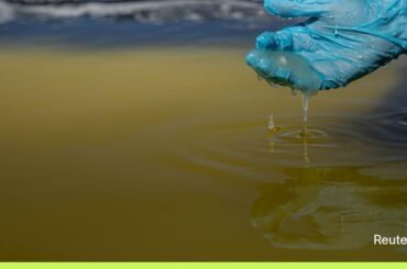 Chile plans to nationalize its vast lithium industry