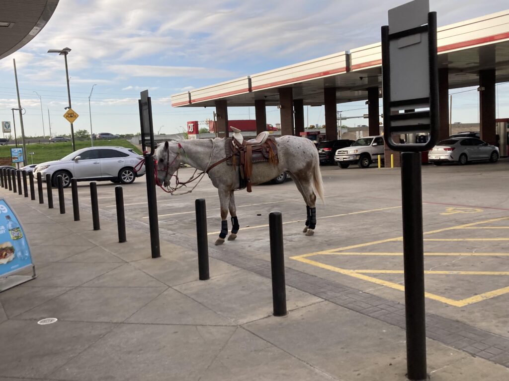 Spotted this beauty at the gas station. I don’t think it’s a mustang? Decent horsepower though…