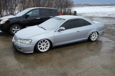 Winters are rough around here