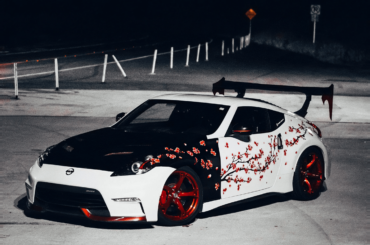 Do you think this sakura tree livery is too 'girly'? Would you install one as a male?