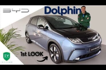 BYD Dolphin - 1st Look