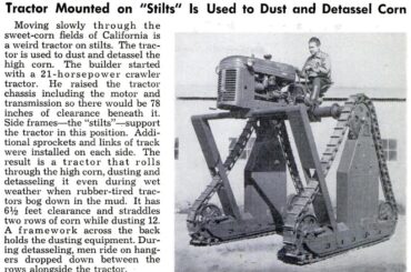 Homebuilt tractor on "stilts, " 1954