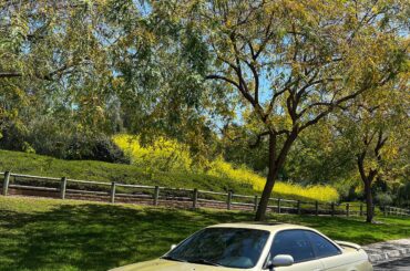 Volkswagen rims on a 240?