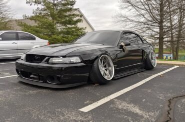 Static mustang