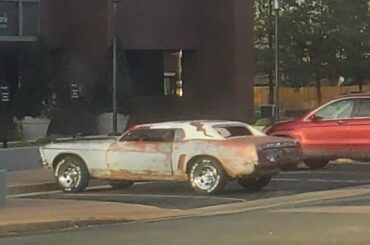 Finally got a picture of this Mustang.