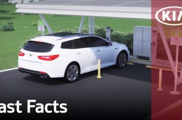 Plug In Hybrid | Fast Facts | Kia