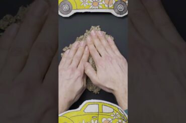 Here‘s your wild card! 💙