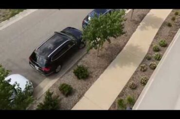 Park Assist | Knowing Your VW