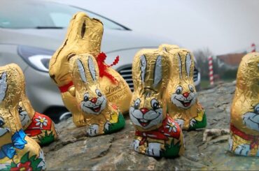 Easter egg hunt – gone in 60 seconds?