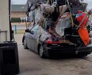 C'mon. This is beyond awesome!