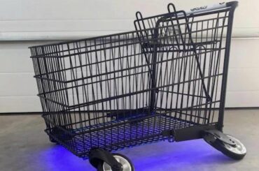 Spotted this beauty in the wild