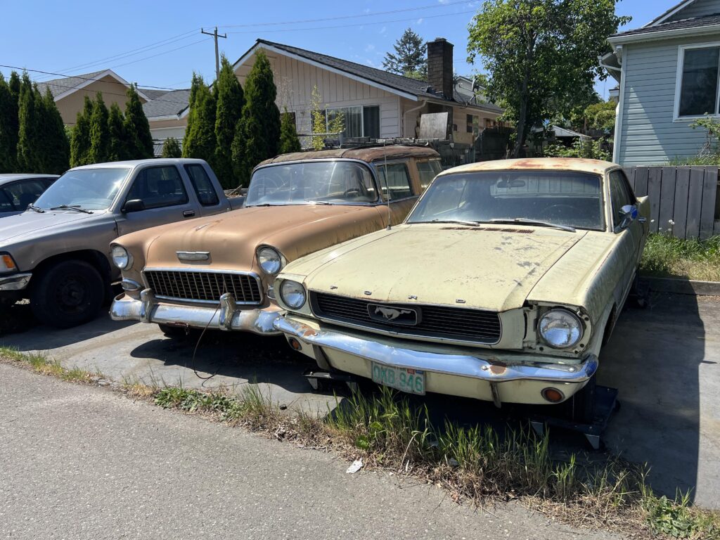 My neighbors old schools chillin outside