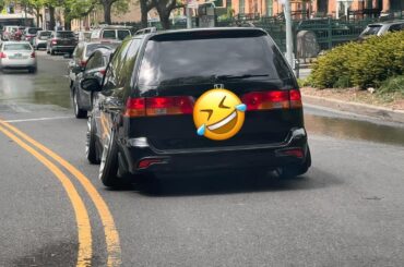 somebody lurking in the Bronx 👀