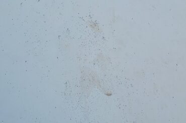 Strange black dots on my car