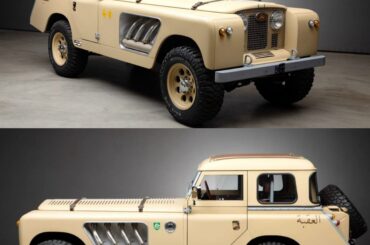 Bell Aurens Longnose