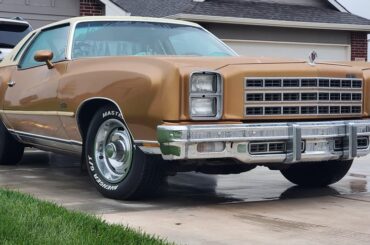 Never fails to rain after a good wax and shine. I do like the wet look though