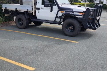 Big kangaroos around here!