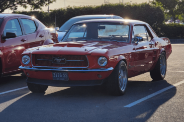 Absolutely beautiful mustang at work.