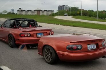 Not my spotting but this is perfect