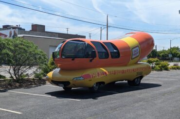 Saw this absolute legend at a plant sale Sunday