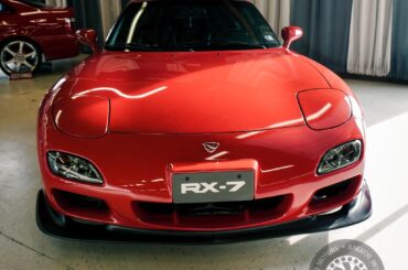 This apex predator has a reputation for hunting seals.