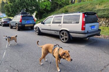 I posted my neighbor's Volvo the other day and a few of you asked to see the R series that was parked behind it.