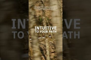 The Mercedes-AMG GLE 53 Knows How to Make Lasting Impression. #Shorts