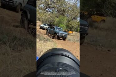 BRONCOS in the Wild | Ford #shorts