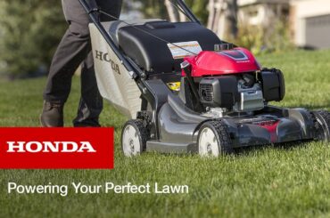 Powering Your Perfect Lawn