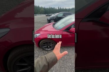 Auction Tesla Model 3 - This is Why I Don't Bid on Electric Cars...