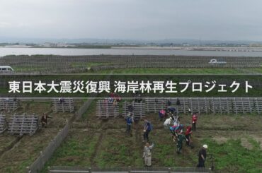 「トヨタ環境活動助成プログラム」活動紹介 | Toyota