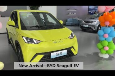 BYD EV Flying Version Seagull 305/405km Pure Electric Cars for sale