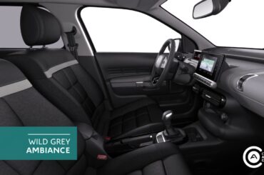 C4 Cactus Hatch Style and Customisation