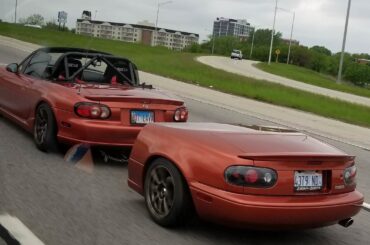 Not my spotting but this is perfect