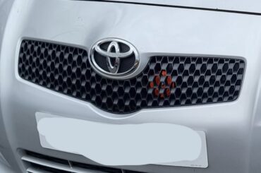 Anyone know what this orange disk is being my grille?