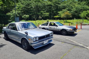 Found these two while on a hike + a picture of the mountain view